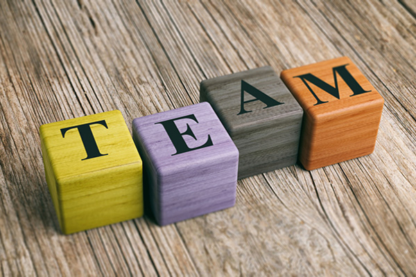 Image representing MEET THE TEAM